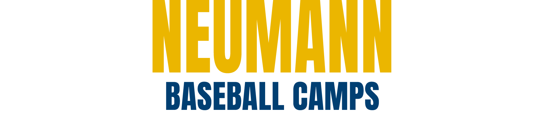 Neumann Baseball Camps